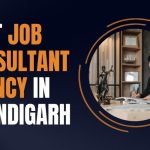 Best Job Consultant Agency in Chandigarh