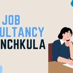 Best Job Consultancy in Panchkula
