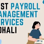 Best Payroll Management Services Mohali